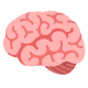 brain